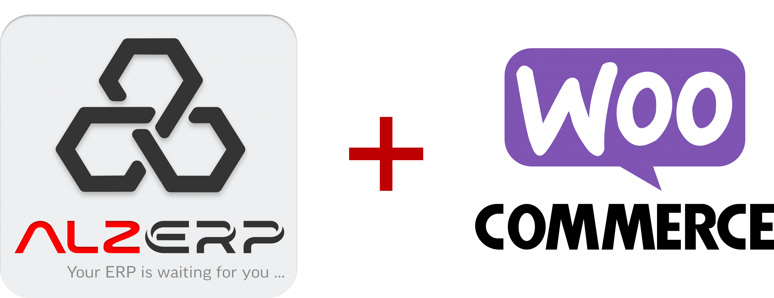 ALZERP eCommerce Integration