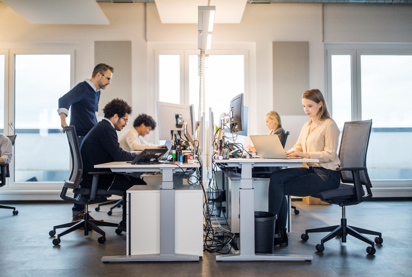 Readymade ERP Software